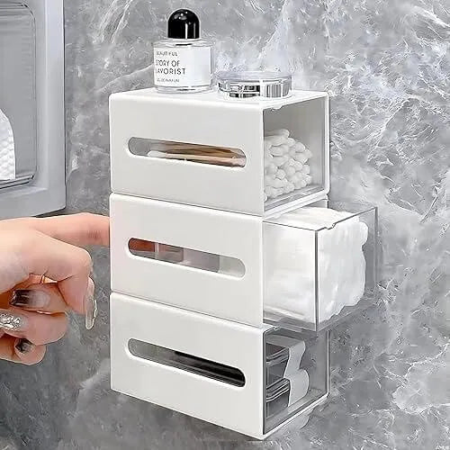 Wall-Mounted Modular Organizer